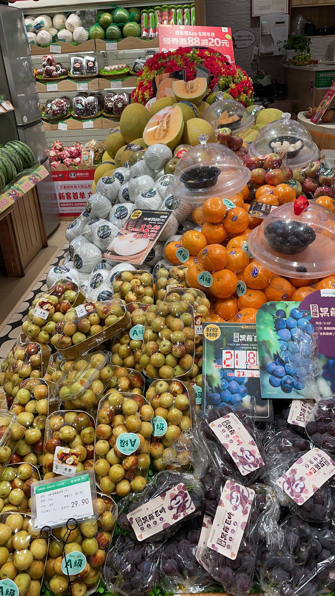 沙坪坝区艾瑞食品经营部